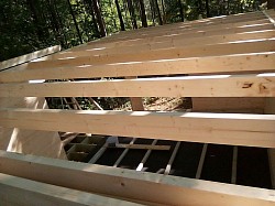 European Cabin (Ceiling Joist Top View)