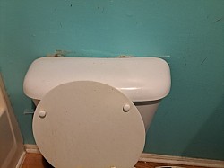 Partial Floor Replacement (Toilet Shows Signs on wall)