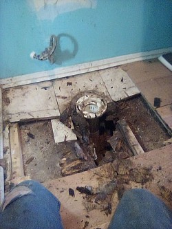 Partial Floor Replacement (Subfloor Completely Rotted Out)